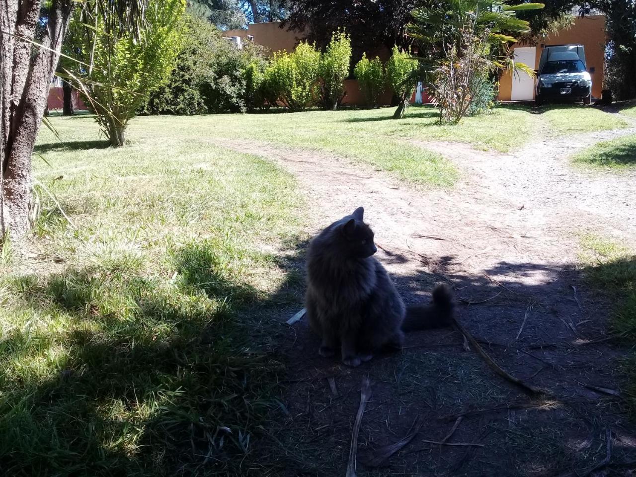 La Nilda Guest House Tandil Exterior photo